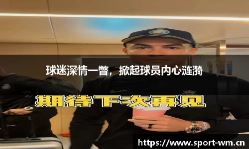 完美体育官网