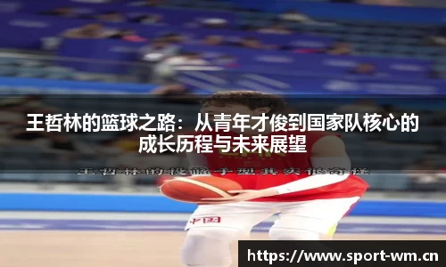 完美体育平台